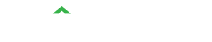 Binomio Logo